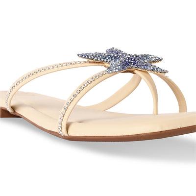 Blue Starfish Strings Flat