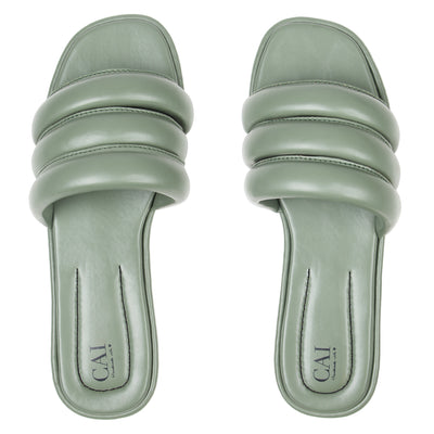 Cotton Sweet Pea Online